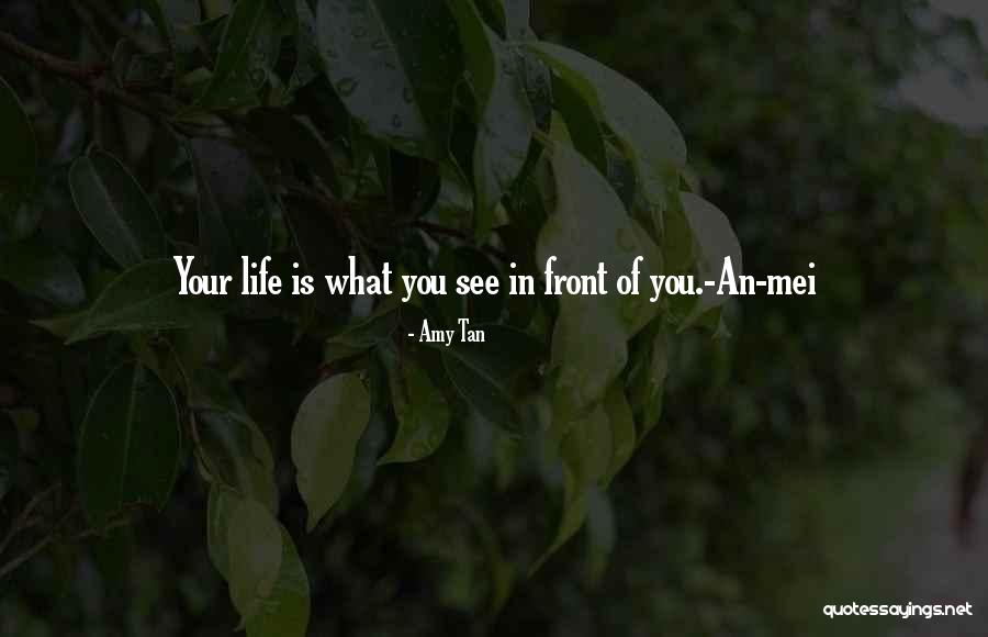 Tolis A319 Quotes By Amy Tan Tolis A319 Quotes By Amy Tan