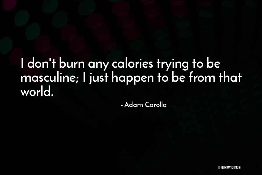 Tollendale Quotes By Adam Carolla Tollendale Quotes By Adam Carolla