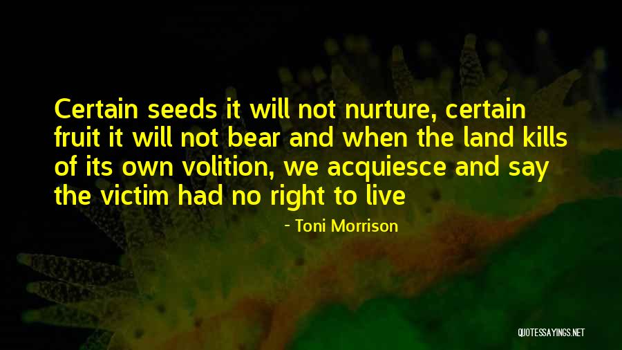 Toltec Death Quotes By Toni Morrison Toltec Death Quotes By Toni Morrison