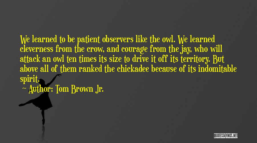 Tom Brown Jr. Quotes 1258710