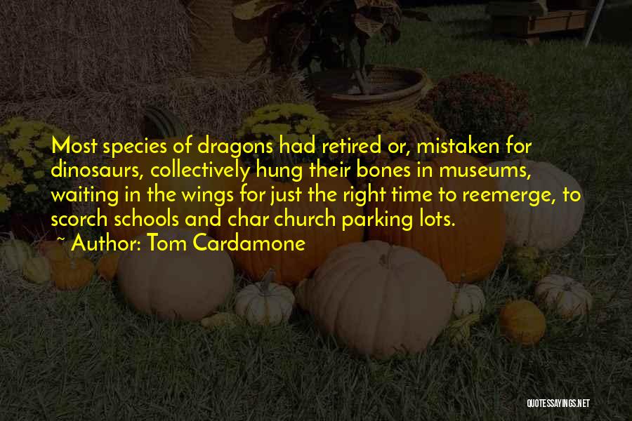 Tom Cardamone Quotes 1151584