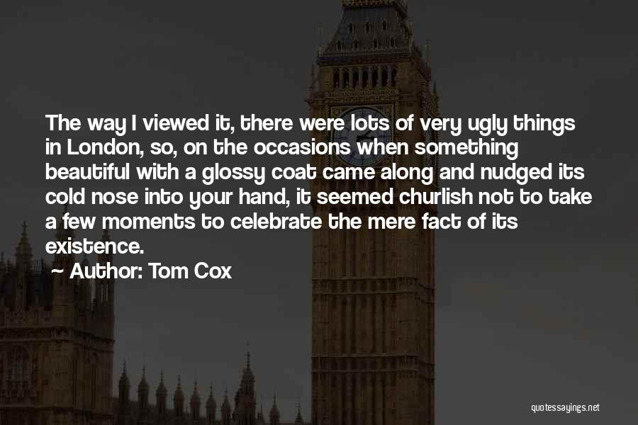 Tom Cox Quotes 653437