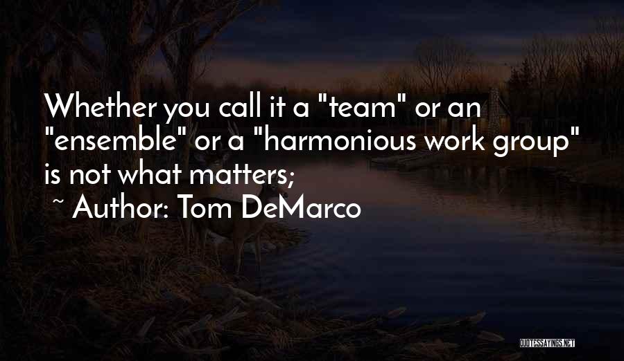 Tom DeMarco Quotes 1018795