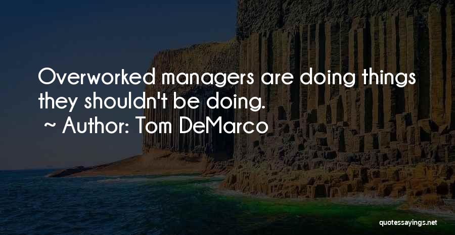 Tom DeMarco Quotes 1215011