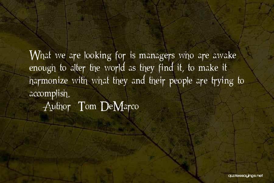 Tom DeMarco Quotes 955933