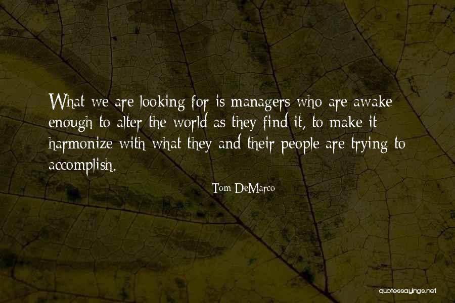 Tom DeMarco Quotes 955933 Tom DeMarco Quotes 955933