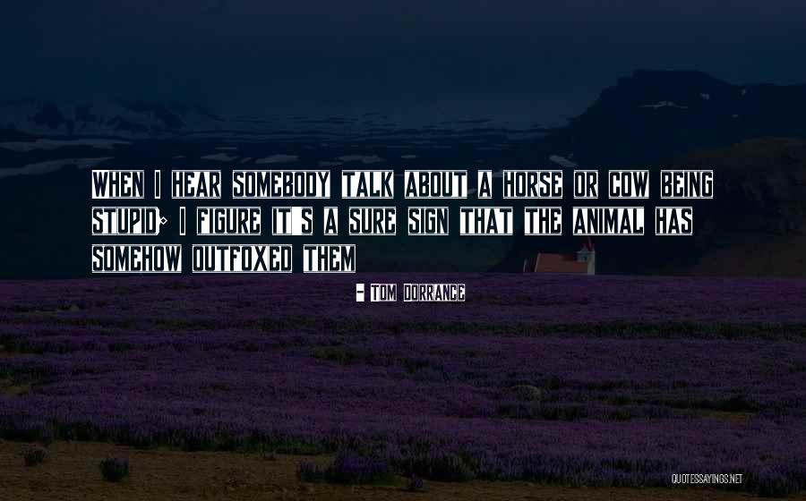 Tom Dorrance Quotes 1029312 Tom Dorrance Quotes 1029312
