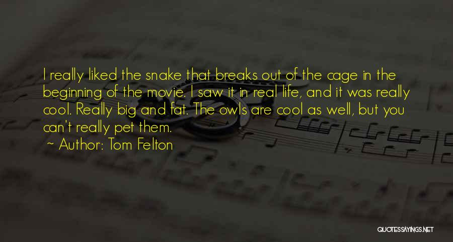 Tom Felton Quotes 1382525
