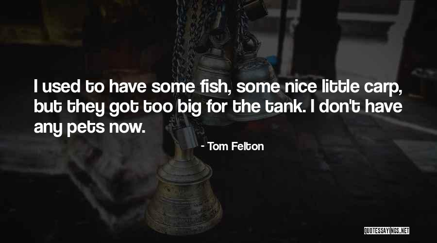 Tom Felton Quotes 2087672 Tom Felton Quotes 2087672