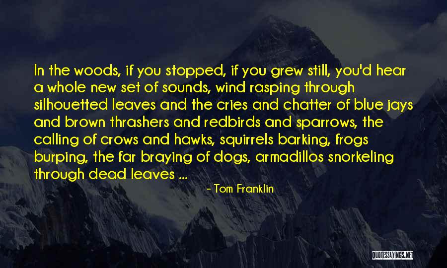 Tom Franklin Quotes 1523008 Tom Franklin Quotes 1523008