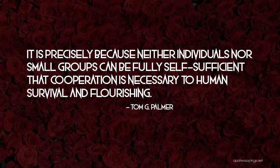 Tom G. Palmer Quotes 1498215