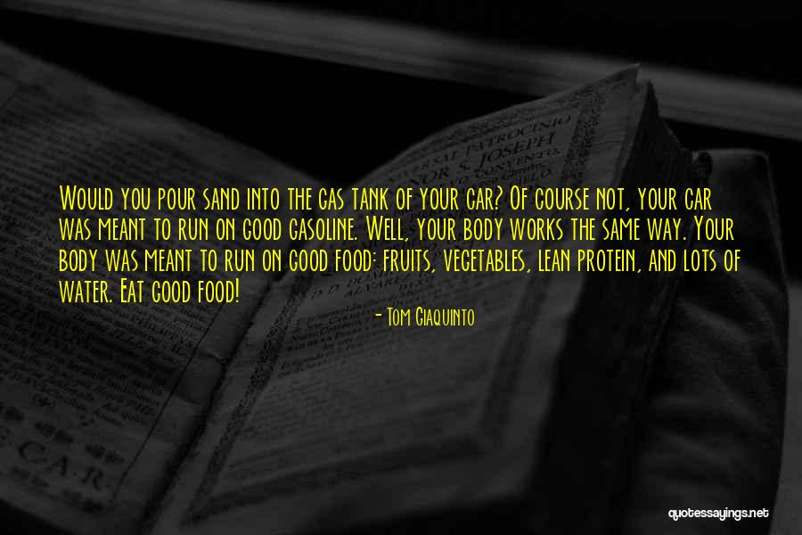 Tom Giaquinto Quotes 249821