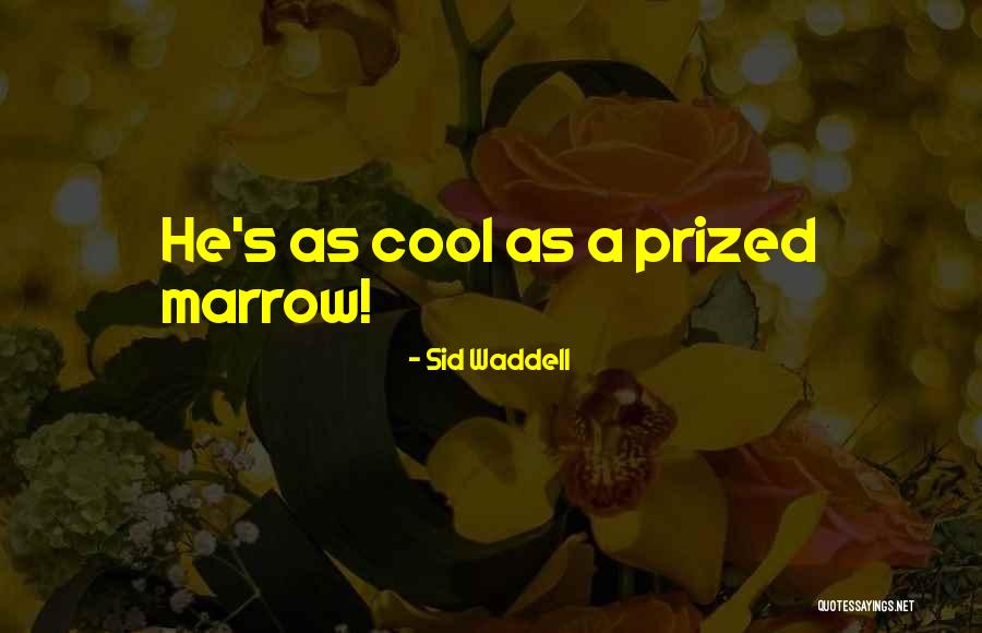 Tom Hardy Locke Quotes By Sid Waddell Tom Hardy Locke Quotes By Sid Waddell