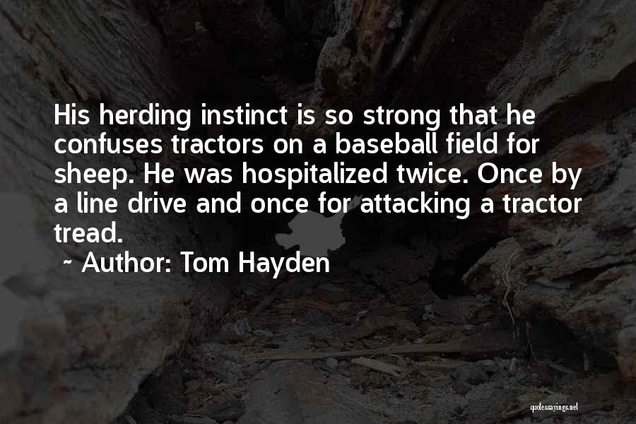 Tom Hayden Quotes 1824451