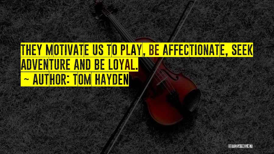 Tom Hayden Quotes 189142