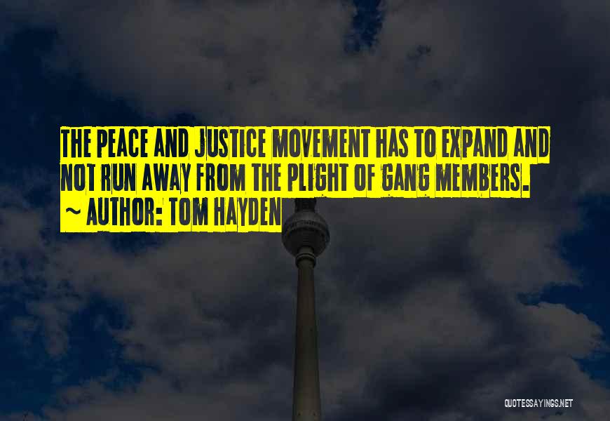 Tom Hayden Quotes 715446