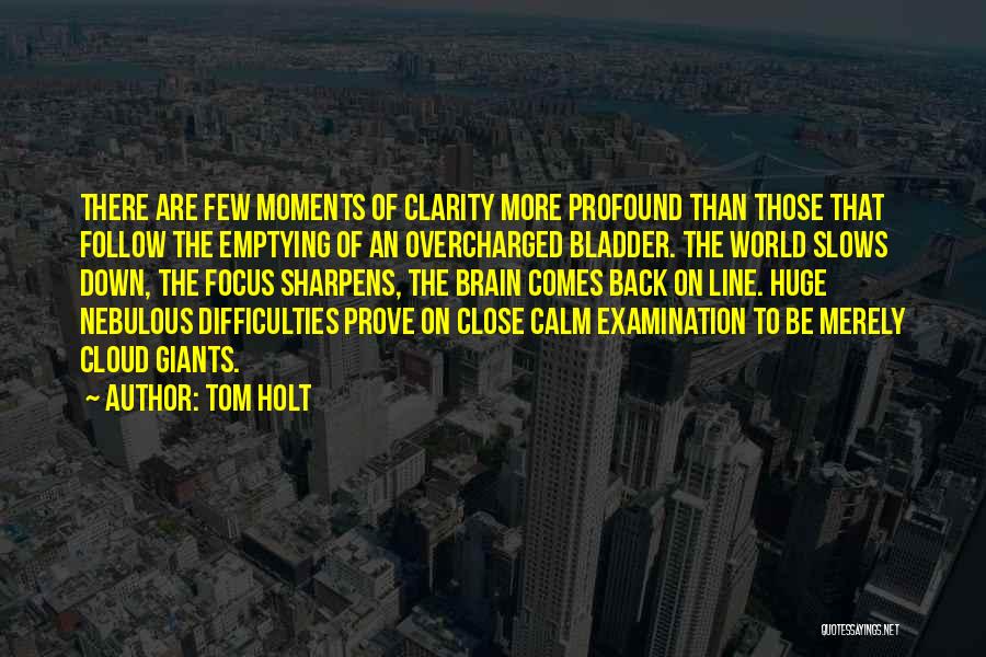 Tom Holt Quotes 310359