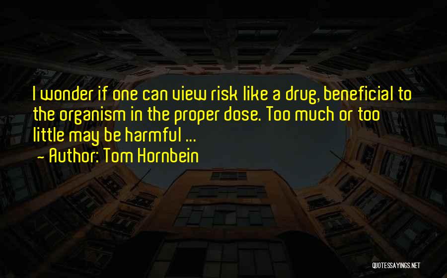 Tom Hornbein Quotes 1569413