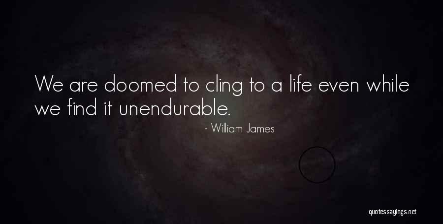 Tom Macdonald Quotes By William James