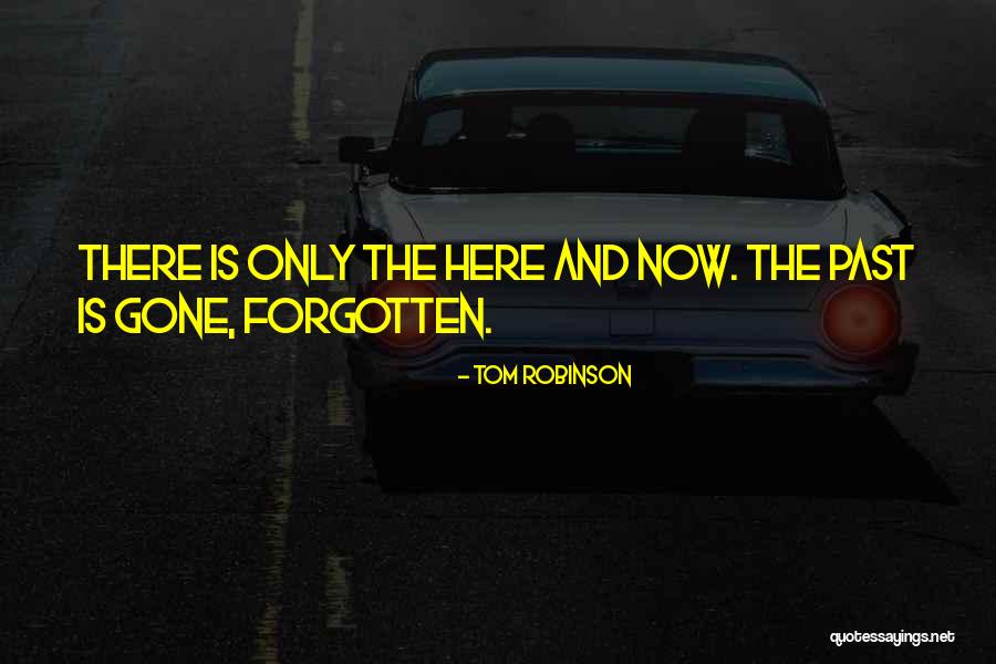 Tom Robinson Quotes 1377429 Tom Robinson Quotes 1377429