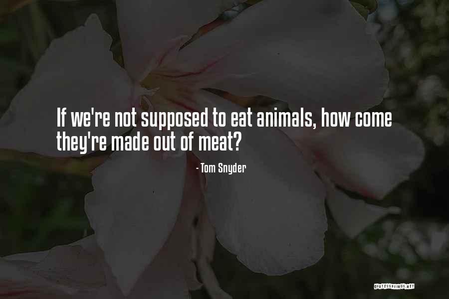 Tom Snyder Quotes 1517751 Tom Snyder Quotes 1517751