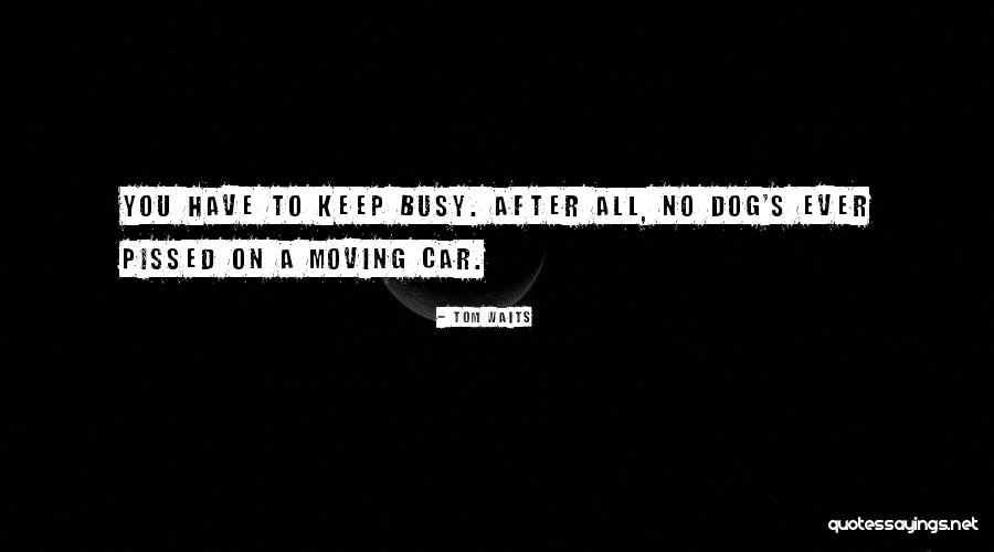 Tom Waits Quotes 1562611 Tom Waits Quotes 1562611