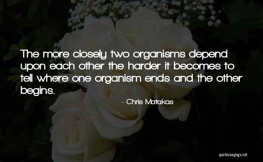 Tom Wingfield Quotes By Chris Matakas Tom Wingfield Quotes By Chris Matakas