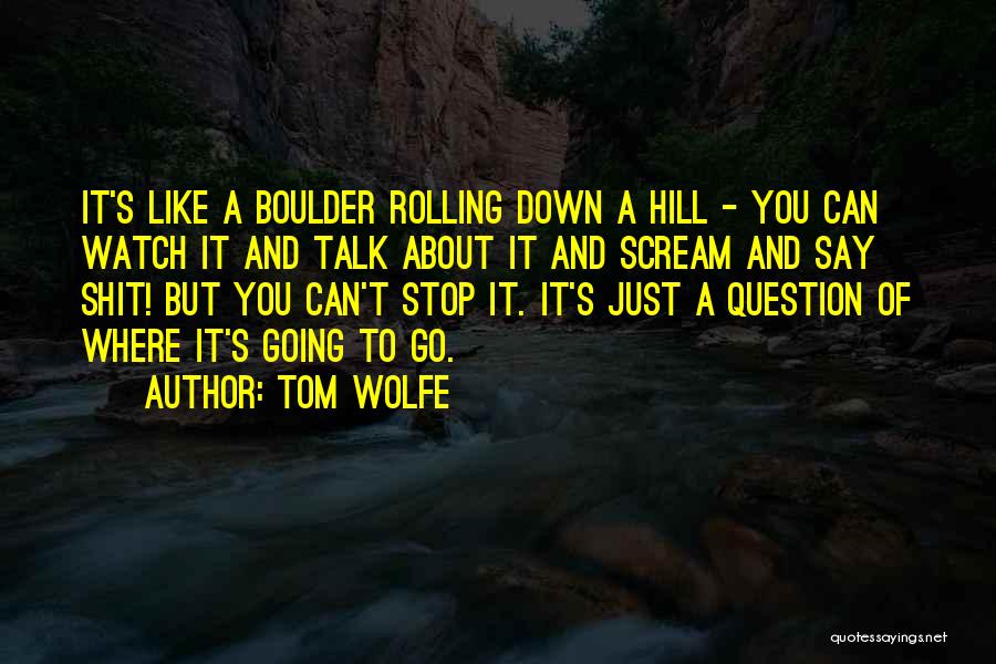 Tom Wolfe Quotes 114916