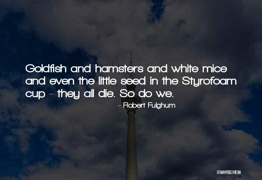 Toma Bebic Quotes By Robert Fulghum Toma Bebic Quotes By Robert Fulghum