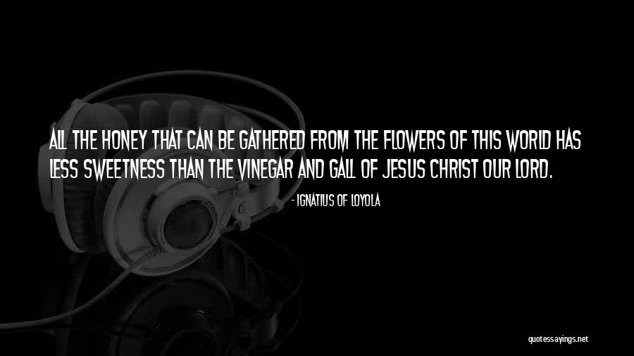 Tomarland Quotes By Ignatius Of Loyola Tomarland Quotes By Ignatius Of Loyola