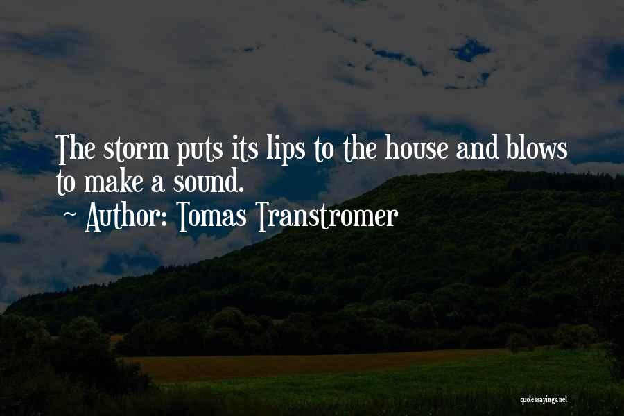 Tomas Transtromer Quotes 1159603
