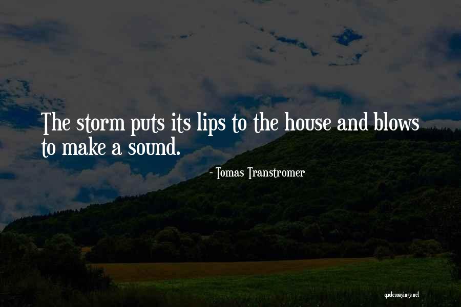 Tomas Transtromer Quotes 1159603