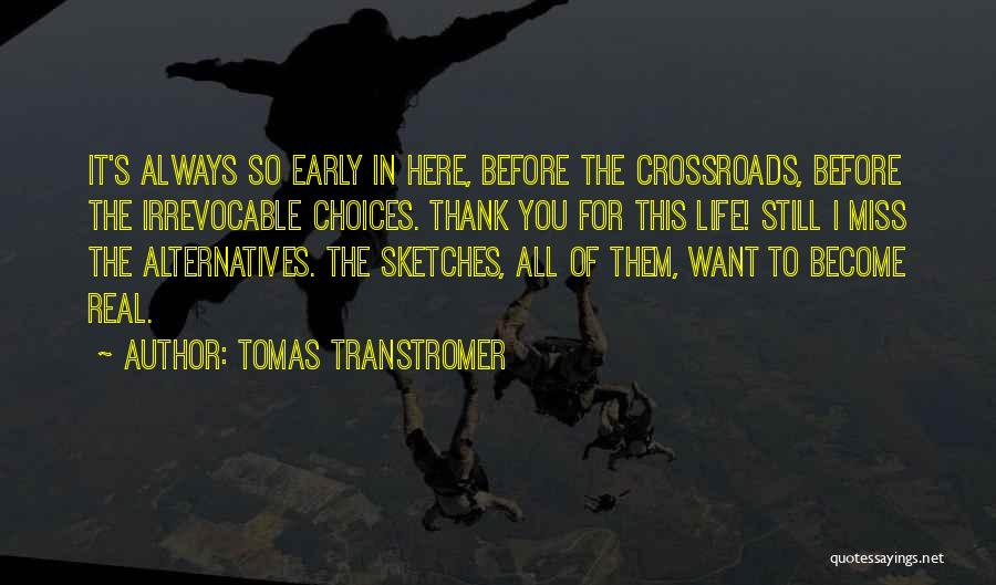 Tomas Transtromer Quotes 1374894