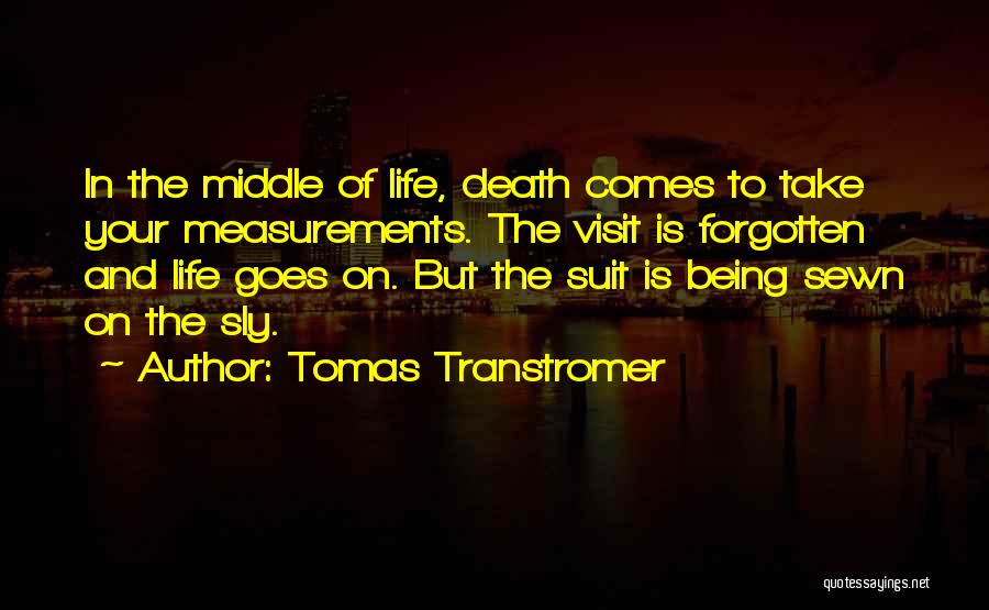 Tomas Transtromer Quotes 251262