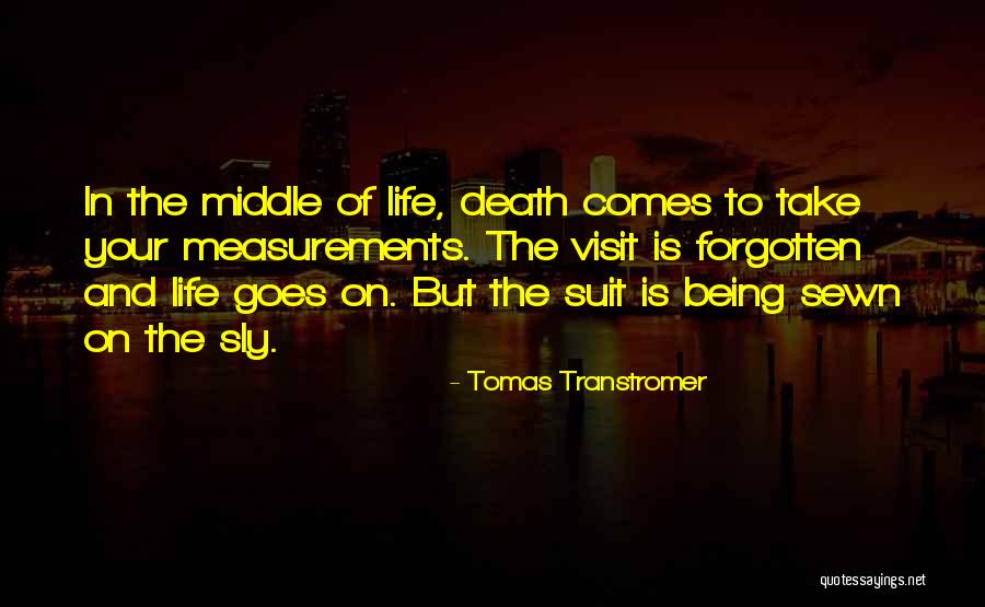 Tomas Transtromer Quotes 251262