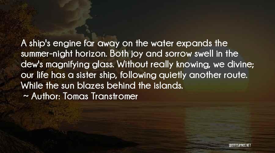 Tomas Transtromer Quotes 873119