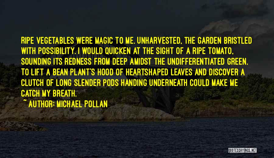 Tomato Garden Quotes By Michael Pollan