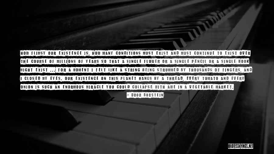 Tomato Quotes By Dror Burstein Tomato Quotes By Dror Burstein