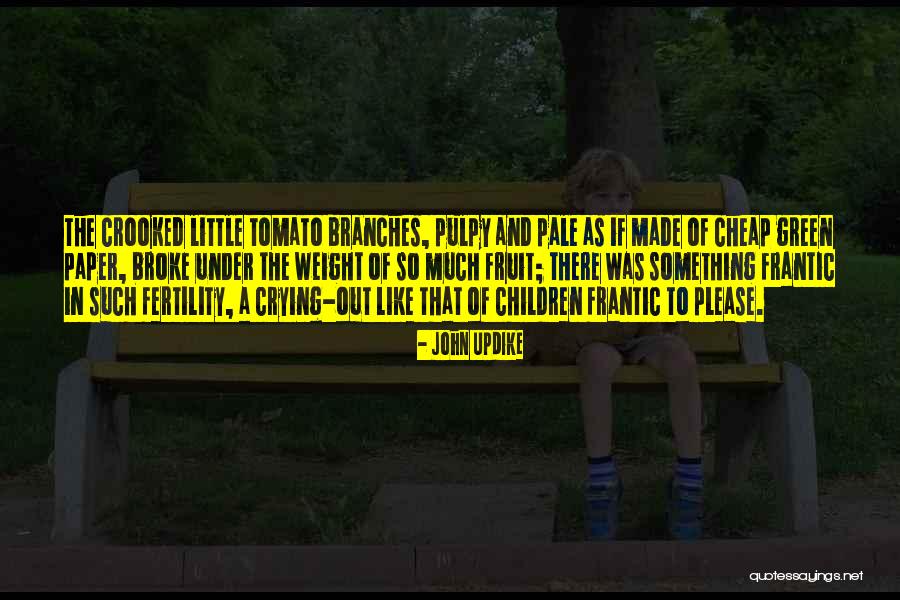 Tomato Quotes By John Updike Tomato Quotes By John Updike