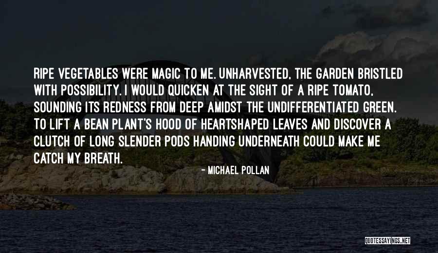 Tomato Quotes By Michael Pollan Tomato Quotes By Michael Pollan