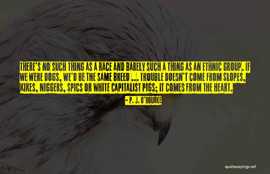 Tombale Jardiniere Quotes By P. J. O'Rourke Tombale Jardiniere Quotes By P. J. O'Rourke