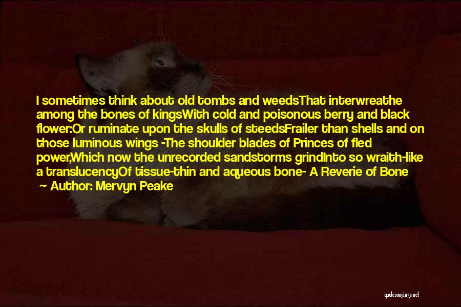 Tombs Quotes By Mervyn Peake