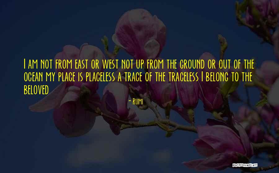Tomescu Adrian Quotes By Rumi Tomescu Adrian Quotes By Rumi