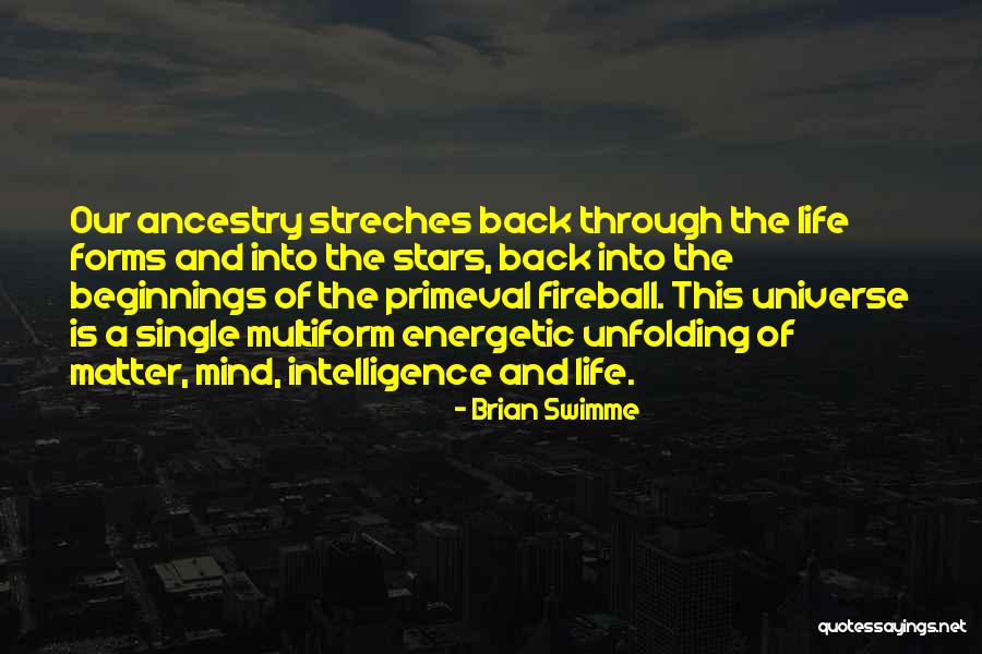Tomihiro Painting Quotes By Brian Swimme Tomihiro Painting Quotes By Brian Swimme