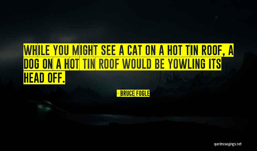 Tomimori Justin Quotes By Bruce Fogle Tomimori Justin Quotes By Bruce Fogle