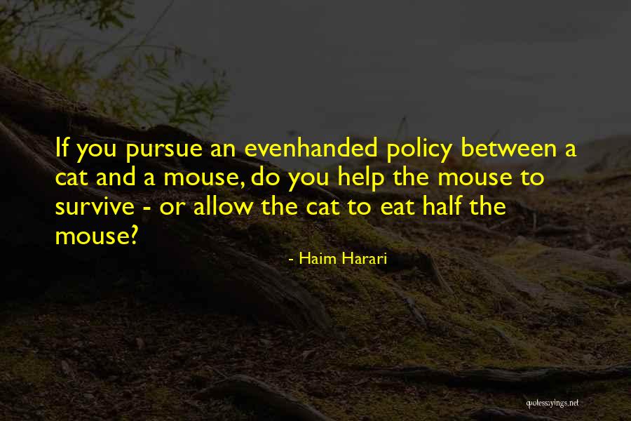 Tomme De Savoie Quotes By Haim Harari Tomme De Savoie Quotes By Haim Harari