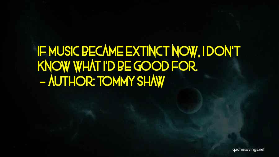 Tommy Shaw Quotes 1733925