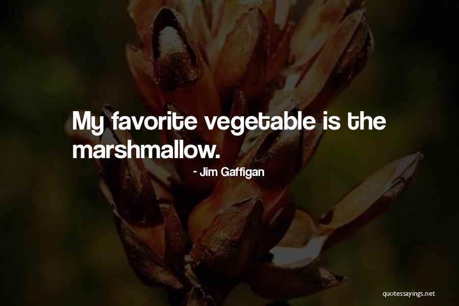 Tomohide Natsuaki Quotes By Jim Gaffigan