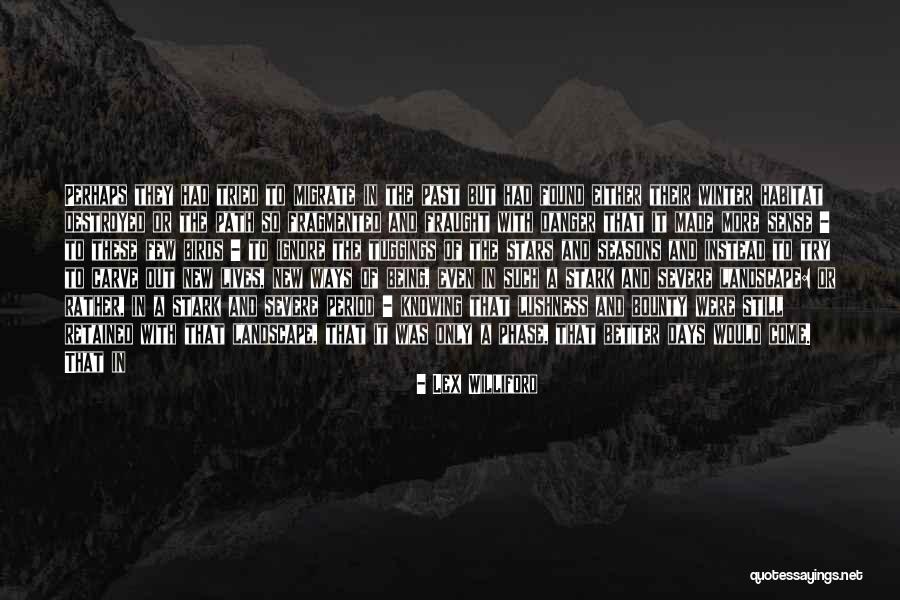 Tomohiro Moriuchi Quotes By Lex Williford Tomohiro Moriuchi Quotes By Lex Williford