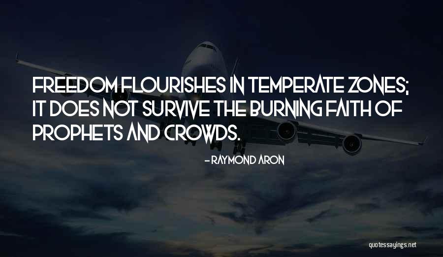 Tomoyama Quotes By Raymond Aron Tomoyama Quotes By Raymond Aron